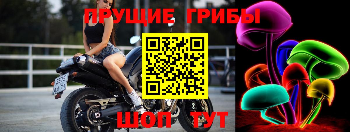Алексин  наркотики  Вход с VPN  Галлюциногенные грибы GOLDEN TEACHER 